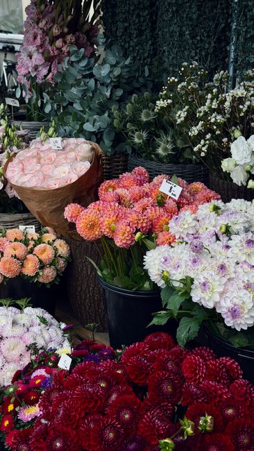 https://blackwallflowers.co.uk/blog/where-to-buy-flowers-in-blackwall-yard-and-leamouth/