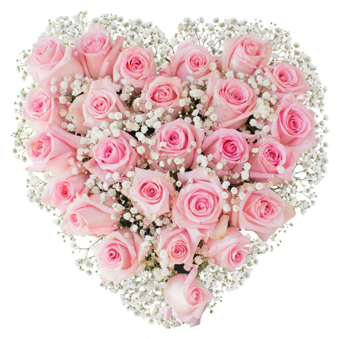 A lush heart composed of soft pink roses and airy white baby's breath fills the view with a feeling of tender abundance. The roses are closely arranged so their velvety heads form a continuous, cushion-like surface; their tones shift subtly from the palest blush to a fuller petal-pink, giving the heart dimension and warmth. Interspersed throughout, tiny white Gypsophila blooms float like gentle clouds, their fine texture offering a delicate counterpoint that both softens and sharpens the heart's outline against the pure white background. Under a clean, bright light the petals' fine veins and the baby's breath's tiny stems are crisply visible, emphasising the meticulous floral construction and the patience required to place each stem just so. The bouquet exudes a restrained romance - a quiet, tactile elegance that suggests holding hands on a cool morning walk near the docks or leaving a heartfelt note by a bedside. As a local florist might recommend to clients in Poplar, Blackwall and the nearby docklands, this arrangement suits weddings, anniversaries, and meaningful remembrances, offering a balanced mix of luxury and innocence. There is a soft floral perfume that feels familiar and consoling, and the overall presentation reads as a masterful, handcrafted statement of love - equally at home on a celebration table in a Canary Wharf apartment or as a respectful, beautiful tribute in a chapel close to the canal.