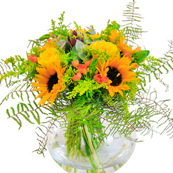 A visual symphony of warmth and cheer, this autumnal bouquet bursts to life in a rounded glass vase, brimming with the vibrant palette of Blackwall's riverside parks at golden hour. The arrangement is anchored by resplendent sunflowers, each bloom ablaze with yellow-bronze petals and bold, chocolate centres-its sun-drenched aura reminiscent of afternoons spent near Poplar Dock Marina. Interlaced with these radiant giants, buttery yellow garden roses spiral outward, their intricate layers and delicate fragrance a tribute to the classic English garden, elevated by a contemporary Blackwall touch. Cheerful red Hypericum berries dot the lush landscape of foliage, sparkling against the golds and greens like beads of laughter. Cascading fern fronds and clouds of soft, green filler weave among the blooms, lending airiness and fluidity, suggestive of the gentle sway of trees along Concordia Wharf. Subtle hints of blue-toned eucalyptus infuse a sense of cool composure and woodland calm, their muted tones enhancing the overall harmony. The crystal-clear vase cradles submerged stems that form a green tapestry, shimmering as sunlight pours through. The bouquet is perfectly suited for joyful occasions-anniversaries, festive gatherings, or simply lighting up a quiet Blackwall apartment with a fresh burst of natural splendour and heartfelt warmth drawn straight from the local landscape.
