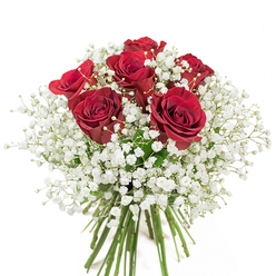 This evocative bouquet, assembled by experienced florists near Blackwall's dockside neighborhoods, is a testament to classic romance and refined artistry. Six resplendent red roses, each unfurling layer upon velvety layer of deep crimson, rest at the heart of the arrangement. Interlaced among the vibrant blooms, billows of soft, white gypsophila create a gentle halo, their tiny star-shaped flowers reminiscent of early morning mists drifting over Blackwall Basin. The contrast between the passionate reds and cloud-like whites is both striking and harmonious, conjuring feelings of devotion and tenderness. Carefully bundled, the long green stems remain visible at the base, radiating a sense of freshness and craftsmanship honed in Blackwall's local flower shops. The bouquet, elegantly mirrored by the pristine backdrop, makes a statement suitable for marking anniversaries, birthdays, or simply bringing a touch of joyful celebration into homes and workplaces lining the Thames. The sensory experience-visual, textural, and emotional-reflects Blackwall's blend of tradition and renewal, as embodied in each expertly crafted stem.